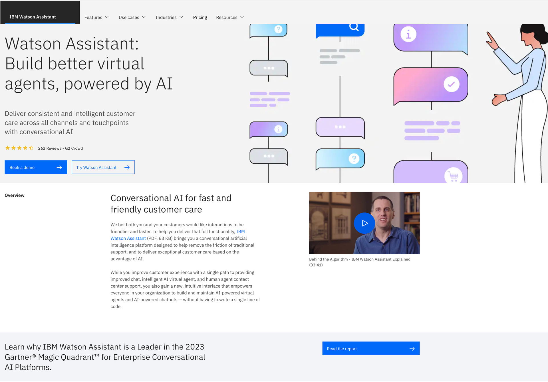 IBM Watson Assistant interface